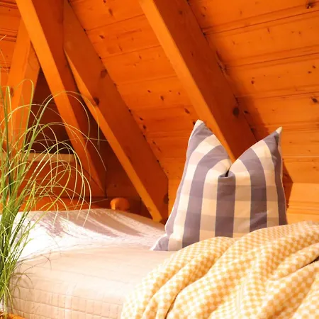 Haase * Dorumer Neufeld