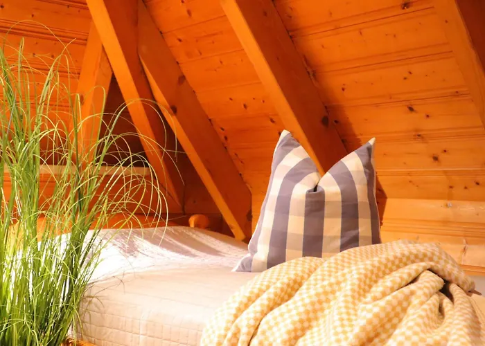 Haase * دورم نيوفيلد